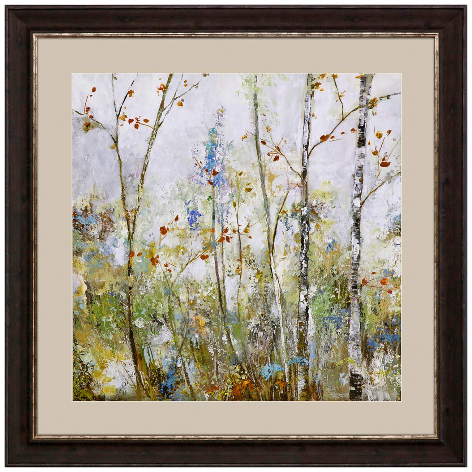 Birch Forest I 42" Square Giclee Framed Wall Art