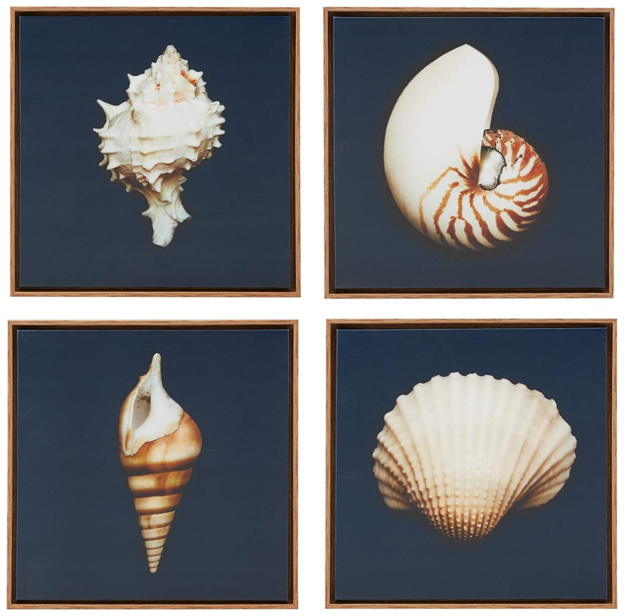 Ocean Seashells 12" Square 4-Piece Canvas Wall Art Set