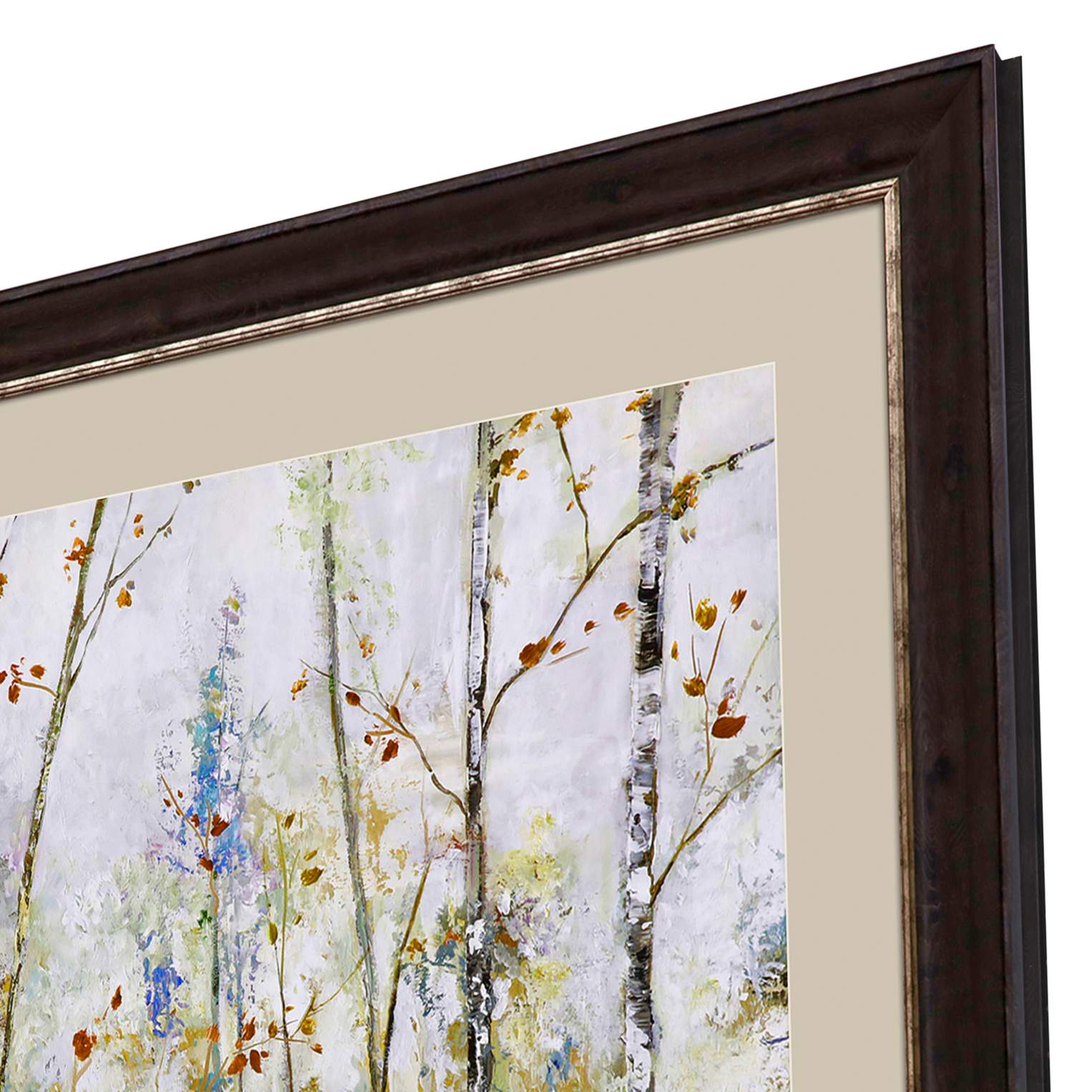 Birch Forest I 42" Square Giclee Framed Wall Art