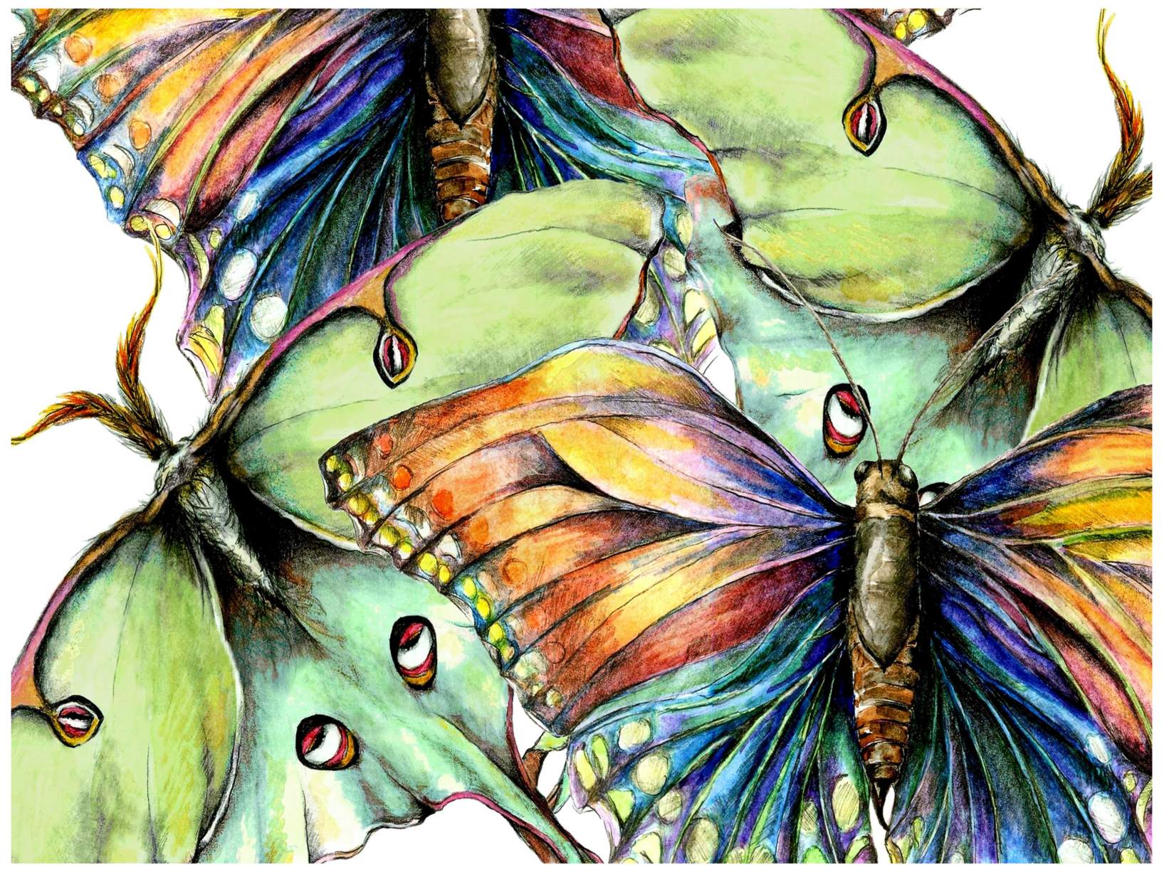 Pastel Butterfly #2 40" Wide Weather Resistant Indoor-Outdoor Wall Art